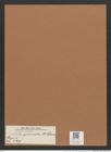 Navicula praesecta A.Schum. (de-Toni-Nr.: Genus 1, Species 427) Zeichnungen Sammlung Grunow Mappe 00387 (Herbarium_W_Grunow_drawings_Folder_00387)